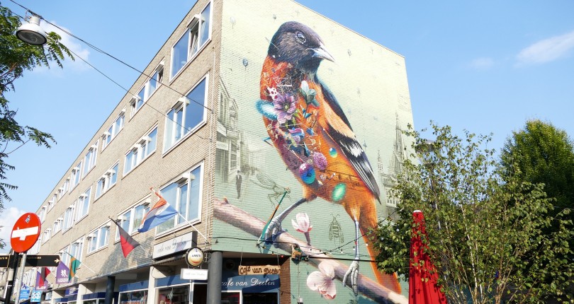 Gemiddelde landelijke huurprijs voor het eerst in zes jaar gedaald.